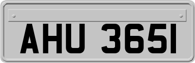 AHU3651
