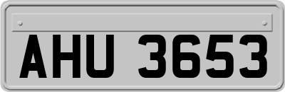 AHU3653