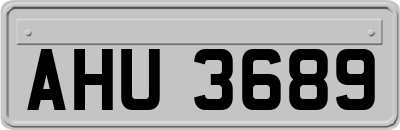 AHU3689
