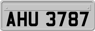 AHU3787