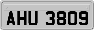 AHU3809
