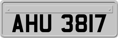 AHU3817