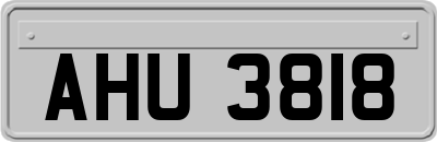 AHU3818