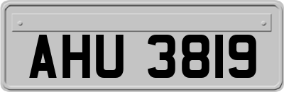 AHU3819