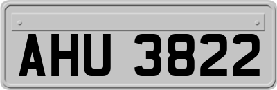 AHU3822