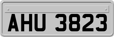 AHU3823