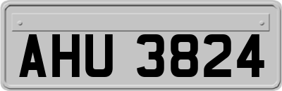 AHU3824