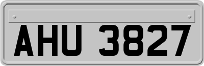 AHU3827