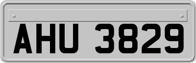 AHU3829