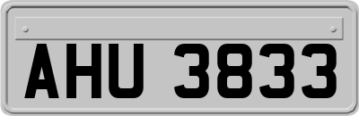 AHU3833