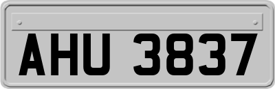 AHU3837