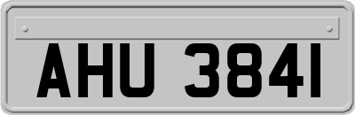 AHU3841