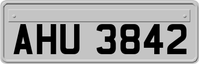 AHU3842