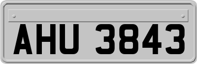 AHU3843