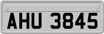 AHU3845