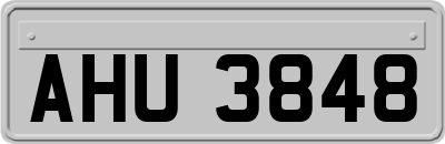 AHU3848