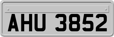AHU3852