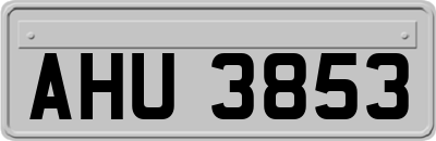 AHU3853