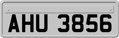 AHU3856