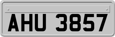 AHU3857