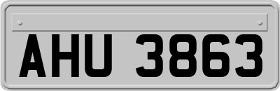 AHU3863