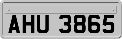 AHU3865