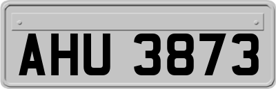 AHU3873
