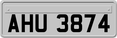 AHU3874