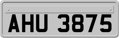 AHU3875