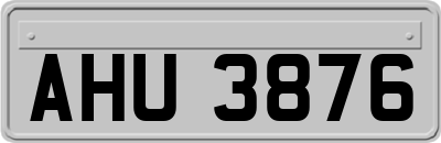 AHU3876