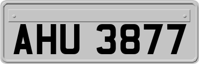 AHU3877