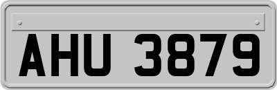 AHU3879