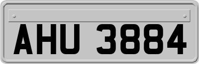 AHU3884