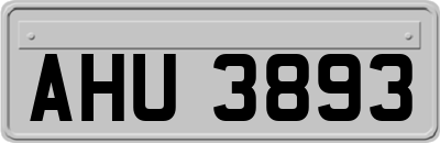 AHU3893