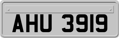 AHU3919