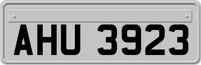 AHU3923