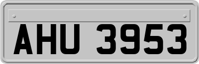 AHU3953