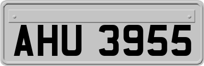 AHU3955