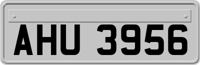 AHU3956