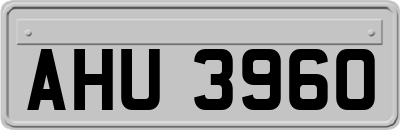 AHU3960