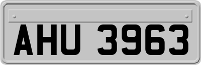 AHU3963