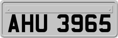 AHU3965