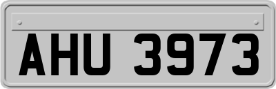 AHU3973