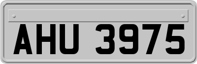 AHU3975