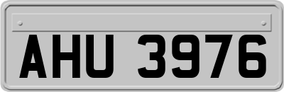 AHU3976