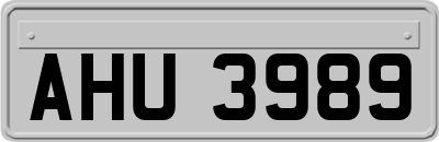 AHU3989