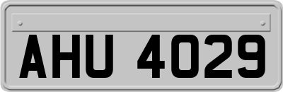 AHU4029