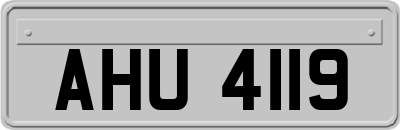 AHU4119