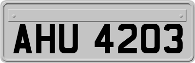 AHU4203