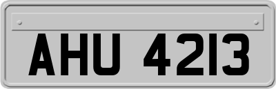 AHU4213